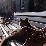 Meschermolen Bed & Breakfast 3*