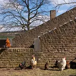 Bed & Breakfast Meschermolen