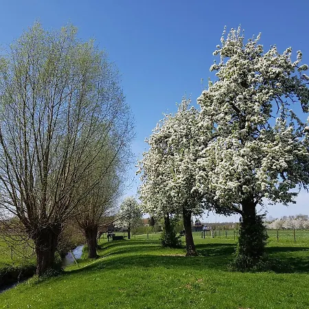 Meschermolen Mesch