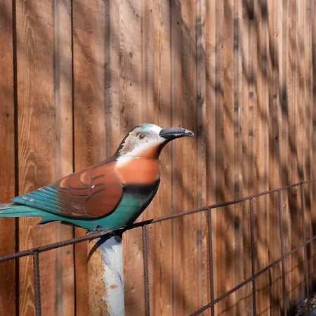 Meschermolen Bed & Breakfast