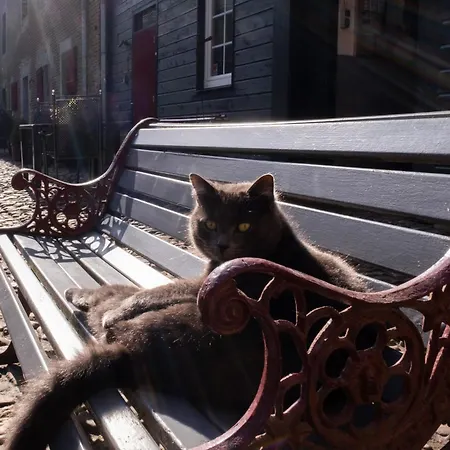 Meschermolen Bed & Breakfast 3*