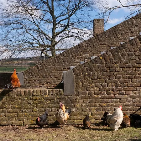 Bed & Breakfast Meschermolen