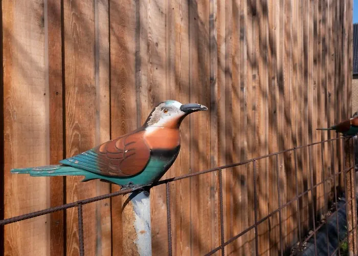 Meschermolen فندق مبيت وإفطار