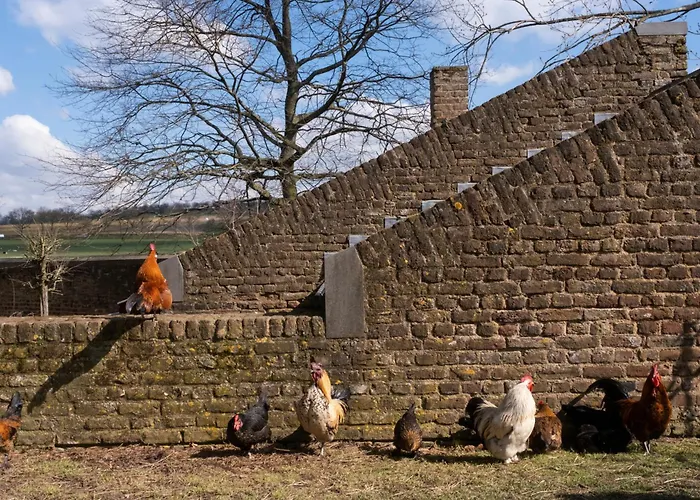 فندق مبيت وإفطار Meschermolen